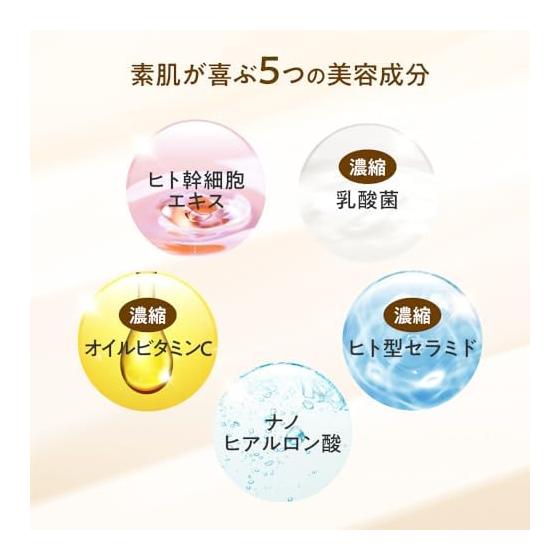 WATTLE Glossy Skin Fitting Powder for Wattle Cushion Foundation Finishing Pressed Powder