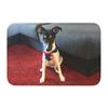Custom Jack Russell Terrier Pop Art Doormat Anti-Slip Entrance Bath Kitchen Door Floor Mats Dog Lover Room Rug Carpet Footpad