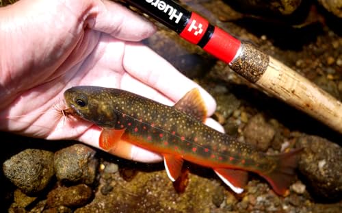 Huerco NB300 / Telescopic Rod