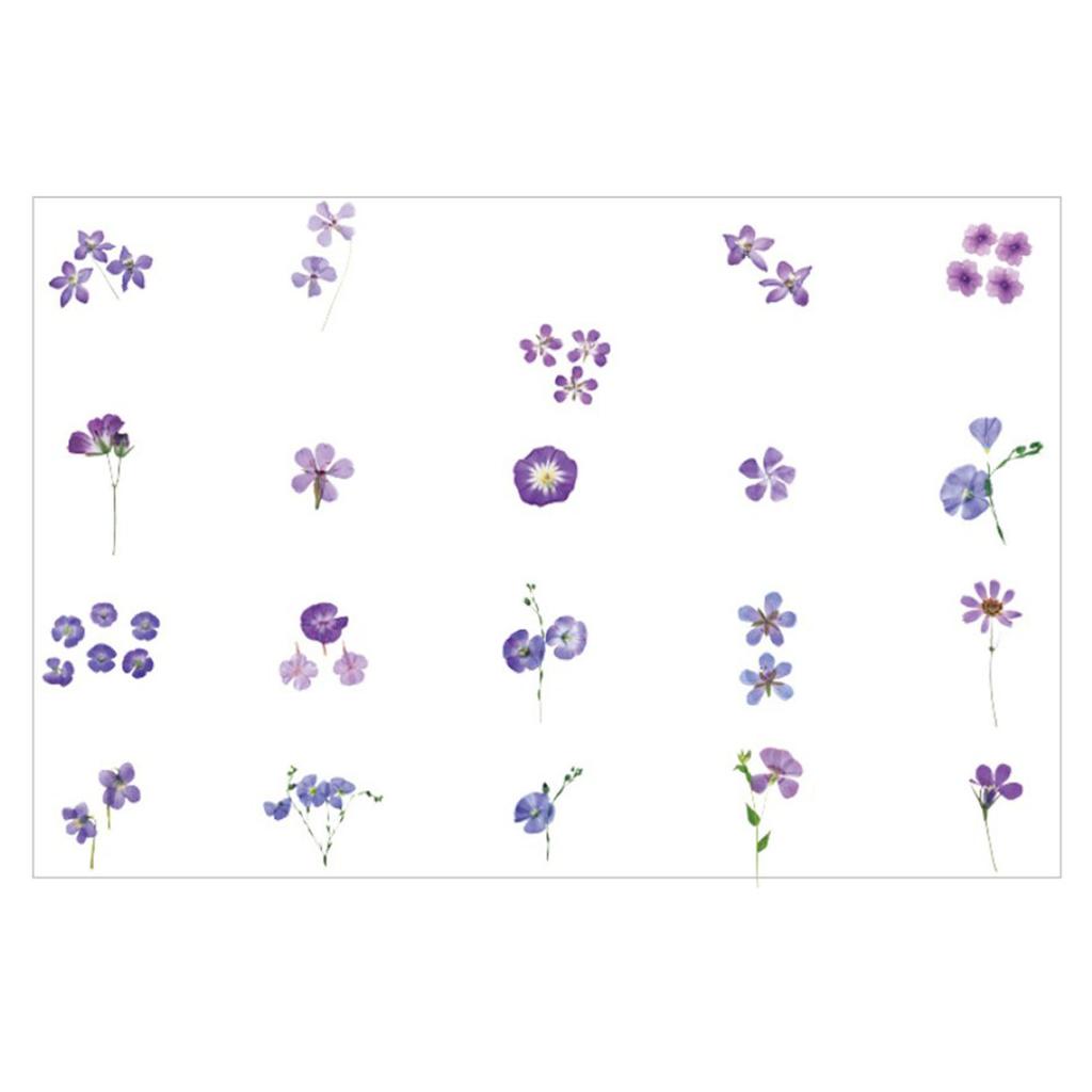 40Pcs Flower Decals Easily Peel Off Durable Waterproof PET Multi Purpose PET Plants Stickers for Scrapbook DIY Craft