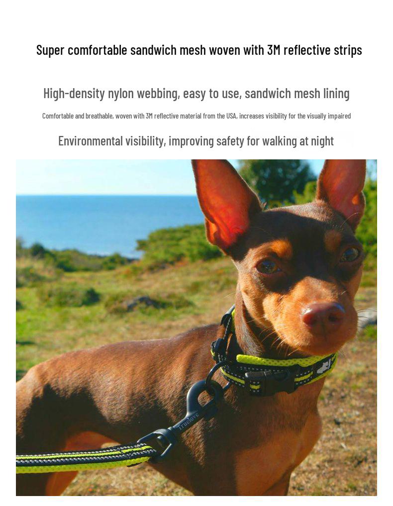 TrueLo Pet Dog Leash for Small, Medium & Large Breeds - Durable Chain Option Available