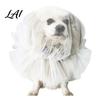 Pet Protection from Grass Dog Face Mesh Net Anti Eating Headgear Breathable Adjustable Lightweight Training Accessories Head Cover for Small Medium