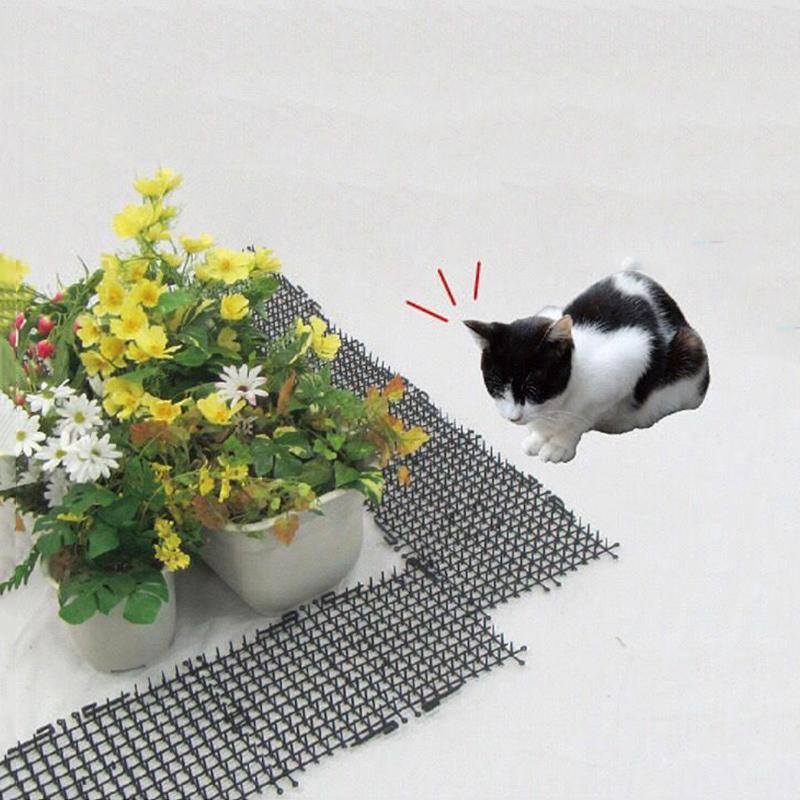 Gardening Tips Prevent Cat Damage Deter Cats Protect Your Garden Easy To Use Cat Mats Safe And Humane Cat Deterrent Cat Behavior