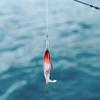 5 pcs Colorful Plastic Artificial Fishing Lure Bait Sea Fishing Tackle Hard Lures with Hooks5 pcs