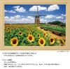 Yanoman [Made in Japan] 108-Piece Jigsaw Puzzle, Large Pieces, Japanese Landscape: Dutch Windmills and Sunflowers, Chiba (26x38cm), 01-2082, Includes