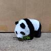 "Children's Electric Plush Puppy & Panda: Walking & Barking Toy" 