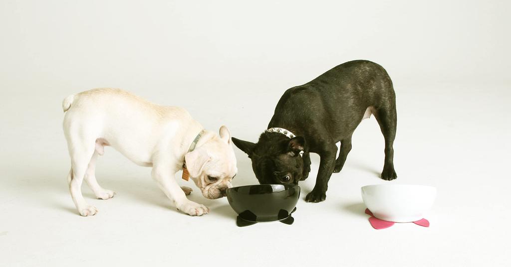 HARIO Czarna Miska na Jedzenie dla Buldoga Francuskiego z Silikonową Matą 150ml,