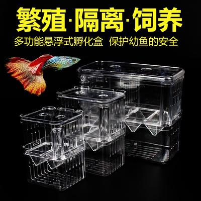 Box für Fischzüchter Isolationsbrutstätte für Acrylteiler Garnelen Clown beschädigt aggressiv