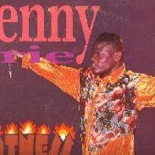 

LP Record PENNY IRIE - Hotness VPRL1265 VP Records 1992 US Reggae, Ska & Dub Used