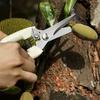 2Pcs Garden Shears - Straight & Bypass Pruning Scissors with White Handles, Non-Slip Grip & Durable Construction for Flowers, Plants, Bonsai, Fruits