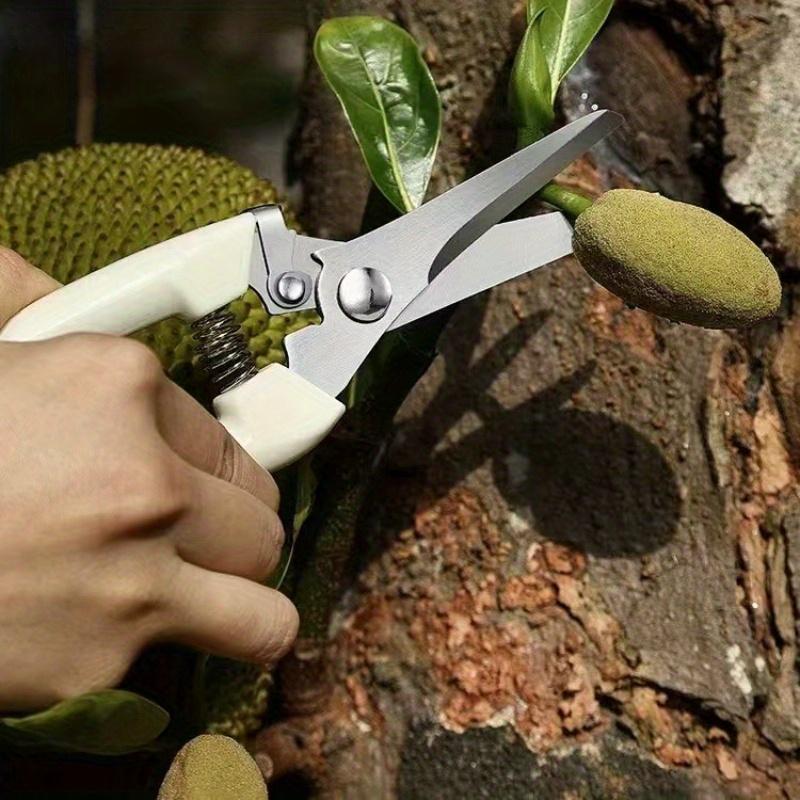 2Pcs Garden Shears - Straight & Bypass Pruning Scissors with White Handles, Non-Slip Grip & Durable Construction for Flowers, Plants, Bonsai, Fruits