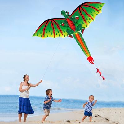 Jouet 3D D-ragon K-ite pour enfants, jeu d'activité de vol en plein air pour enfants avec queue