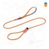 Dog Rope Traction Rope Small Dog Puppy Competition Grade P Rope Pet Dog Training P Chain Medium and Large Dog Explosion-proof Dog Walking Rope