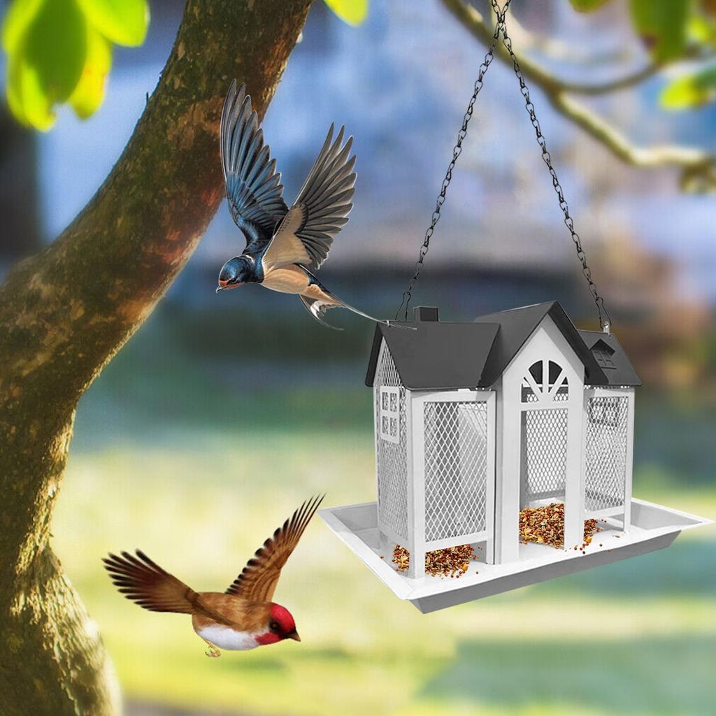 Garten Kolibri Eichhörnchen Futterspender