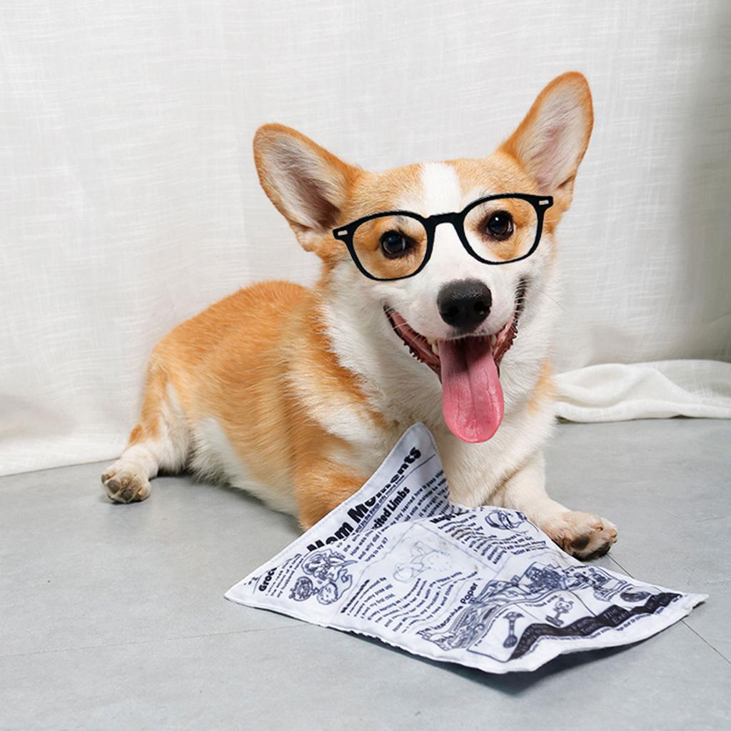 Interactive Unstuffed Dog Chew Toy for Small and Medium Dogs Squeak Toy Newspaper Reducing Boredom & Anxiety