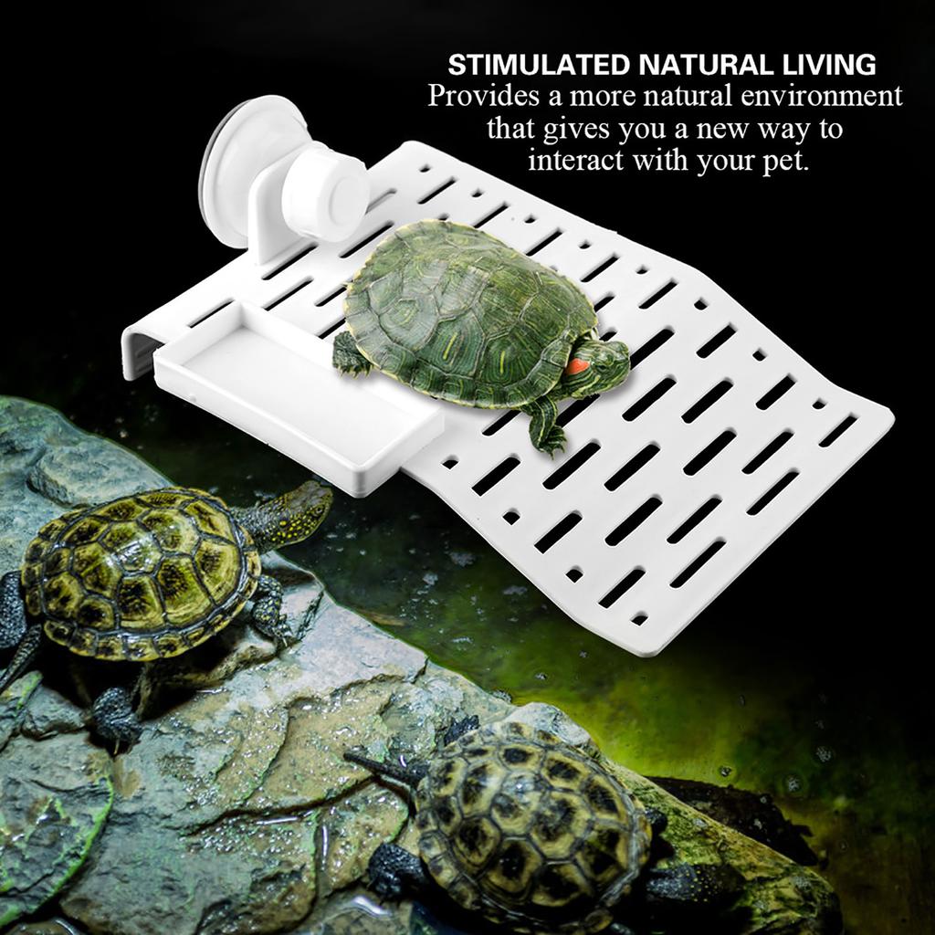 Aquarium Tortoise Platform Turtle Terrace Reptile Habitat Floating Island Dock with Suction Cup