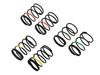 Black SUS Drift Spring Set of Official Japanese Product GD109 G-Force (27mm / 5.5 / 6.0 / 6.5T) (Pack 6)