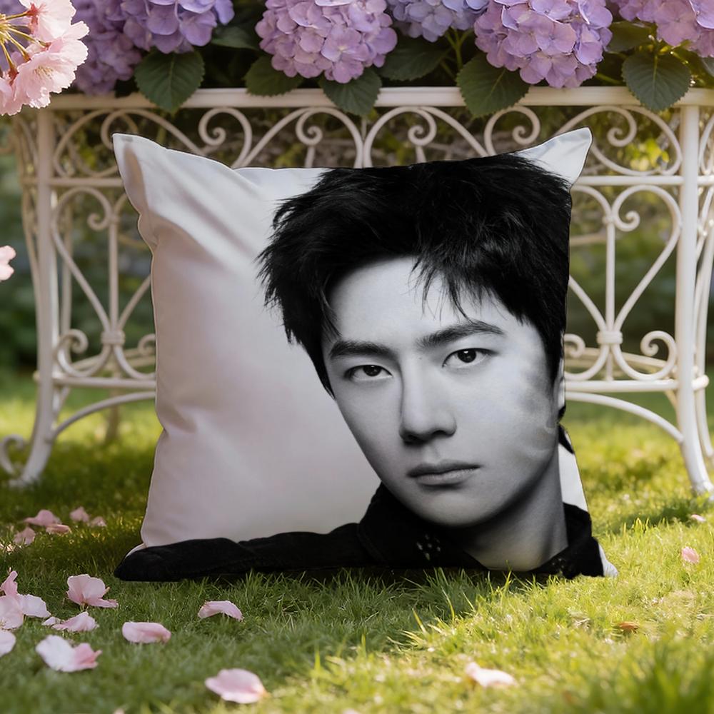 Singer W-Wang Yibo Cushion Cover Home & Car Dual-Scene Pillow Cover: Reversible For Premium Comfort