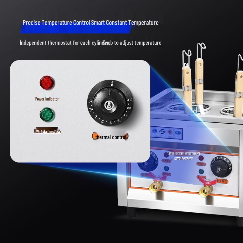 Enlitic Commercial Electric Noodle Cooker