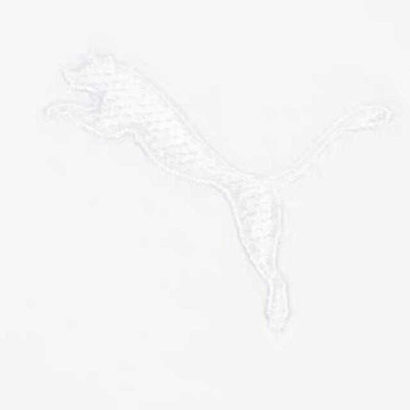 Puma X Michael Lau Graphic Short T-Shirt 'White Blue' Men's 531320-02