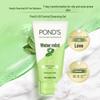 POND'S Oil Control Mint Refreshing Facial Cleanser