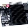 Amplifier Board 10-30V Bridged Mono Subwoofer Speaker 100wx2 Dual Channel