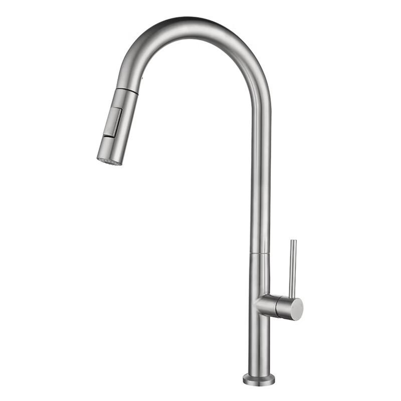 TLXT Stainless Steel Kitchen Pull-Out Faucet