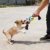 Plush Dog Chew Toy Plush Squeaky Dog Toy Set Head Tennis Ball Chew Toy Cotton Rope Knot for Medium Dogs Teeth Soft Head Dog