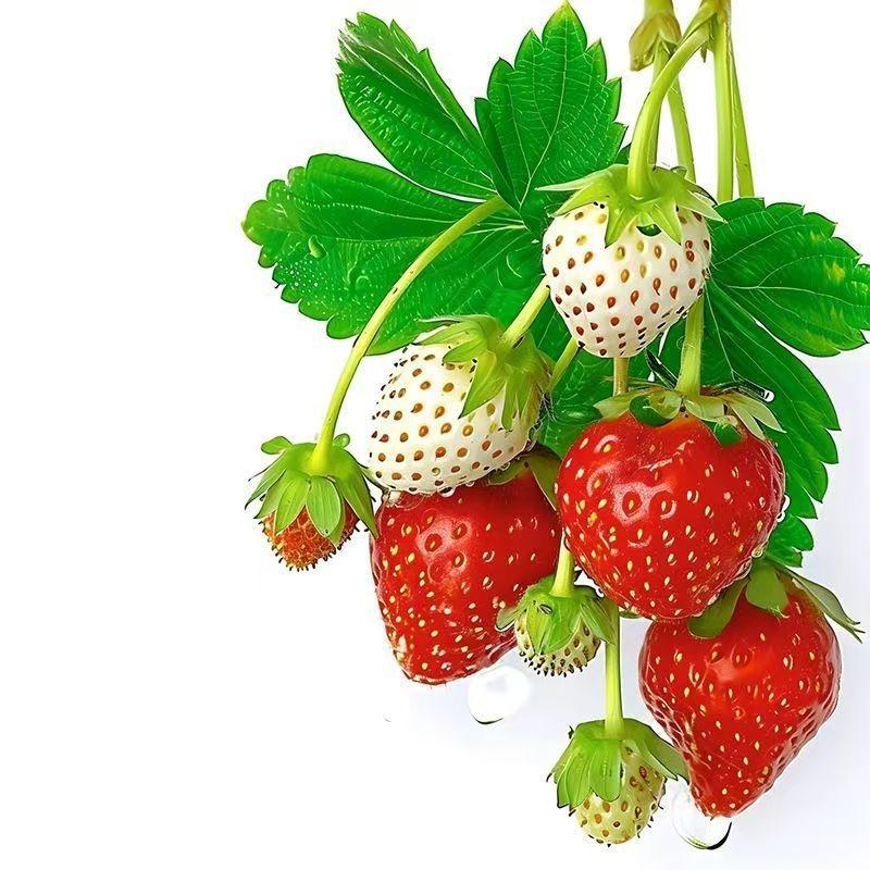 Strawberry Pattern Waterproof Kitchen & Dining Room Sticker - Self-Adhesive for Refrigerator, Glass Door, or Window
