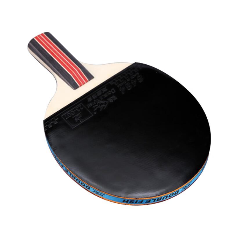 Double Fish 2-Star Table Tennis Racket