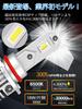 Briteye HB4 LED Headlight, Vehicle Inspection Compatible, 6500K, White, 9006, HB4 LED Bulb, For