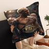 Charles Oliveira Pillow Cushion Cover Pillowcase Living Room Sofa Home Decor Customized