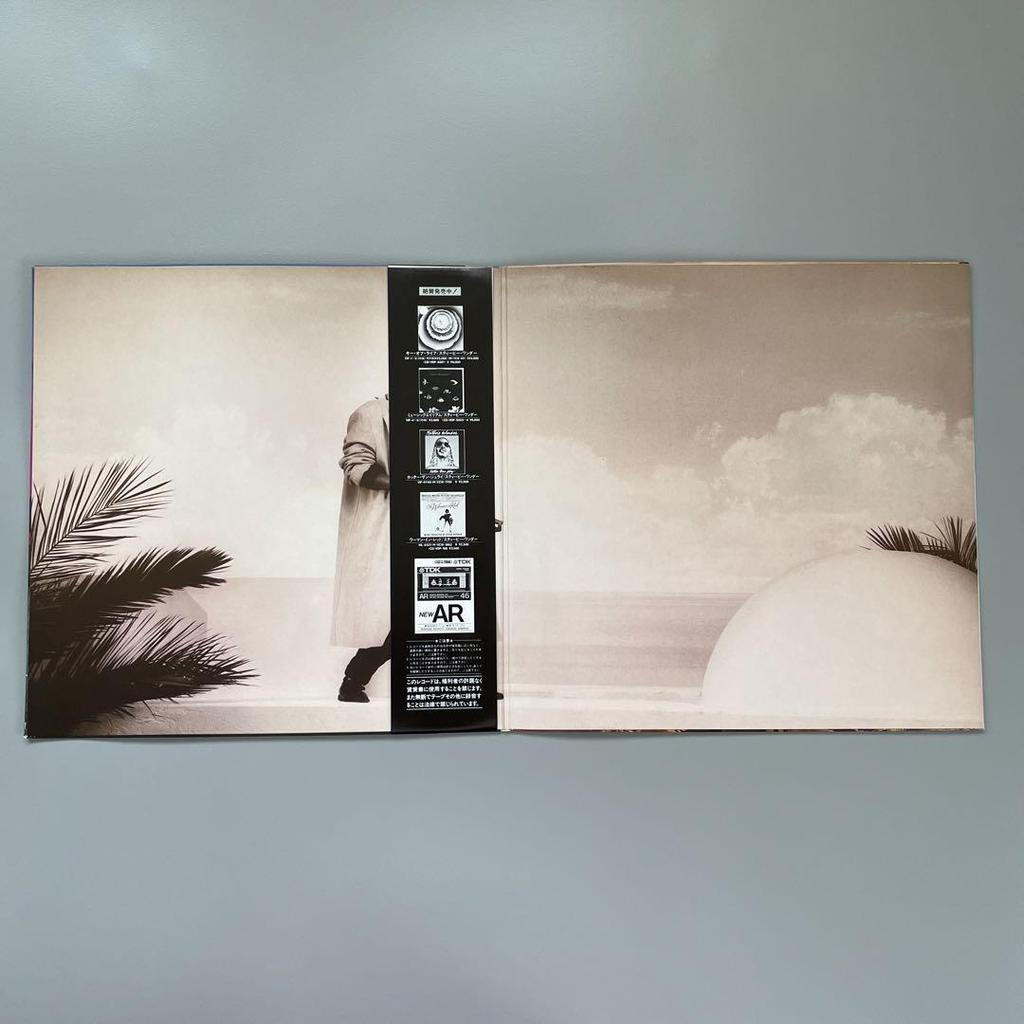 [USED] STEVIE WONDER Japanese LP with Obi IN SQUARE CIRCLE