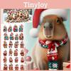 Adorable Acrylic Capybara Countdown Advent Calendar Cute Blind Box Holiday Gift