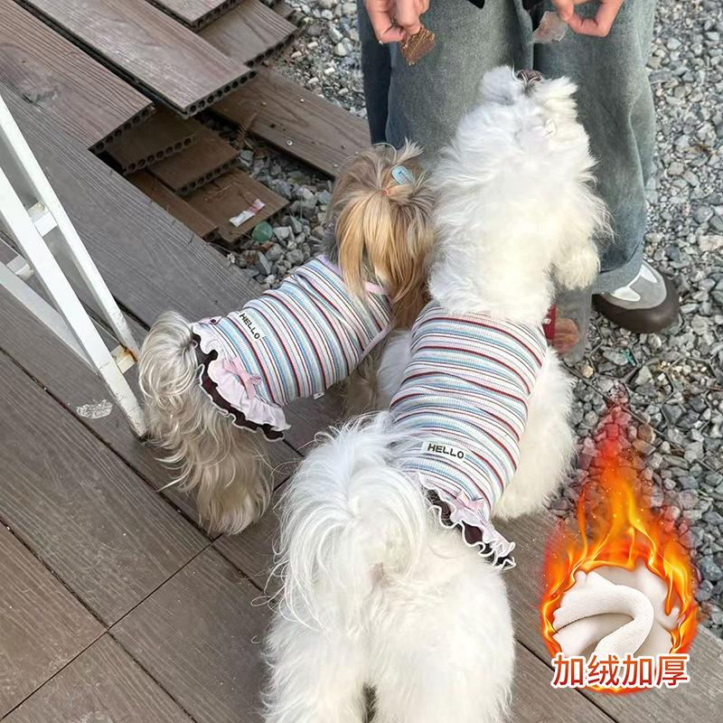 Dog clothes Autumn and winter rainbow striped dress Bigbear cat teddy Pomeranian small dog velvet pet vest