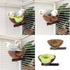 Coconut Shell Bird Cage Nest Perch Stand for Small Birds Parakeets Budgies Comfortable Shelter Place Easy Maintenances