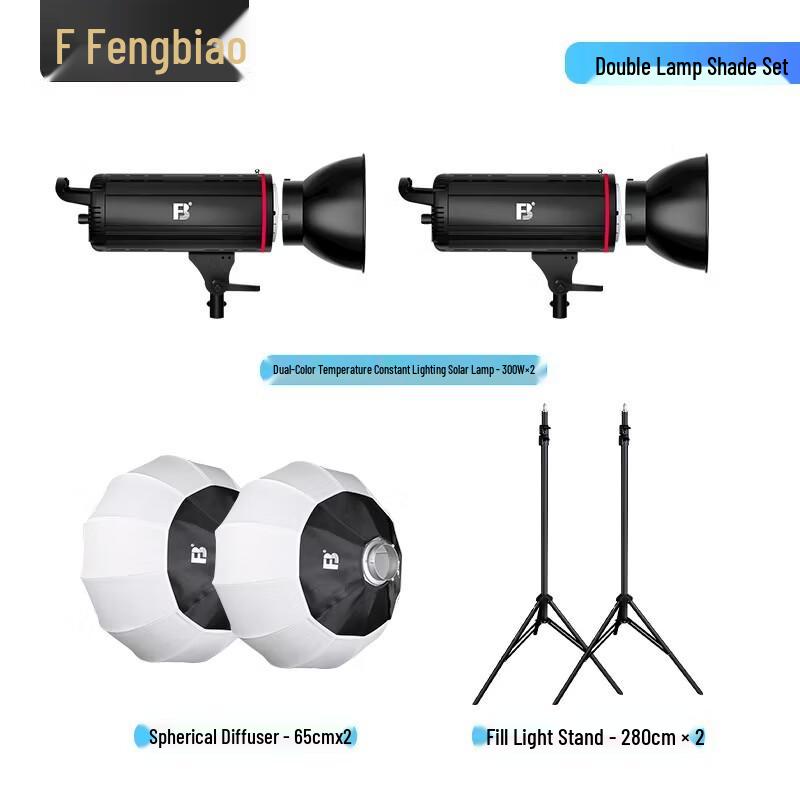 FB 300W Bi-Color LED Continuous Video Light Kit