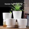 Elegant White Ceramic Flower Pot with Tray - Ideal for Ivy, Spider Plants, and Succulents