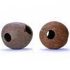 Natural Hideout Cave Smooth Coconut Terrarium for Reptiles 10-12cm