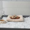 Warm Guinea Pig Plush Cushion Thickened Soft Small Animal Sleeping Mat Hamster Nest Mat  Sleeping