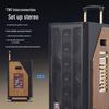 MALONE Portable Karaoke Trolley Speaker System (CN version)
