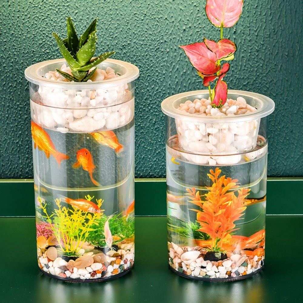 Cylinder Hydroponic Planter Vase Transparent Hydroponic Fish Tank  for Fish Green Plant