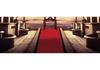 Red Velour Flocking Wedding Celebration Carpet