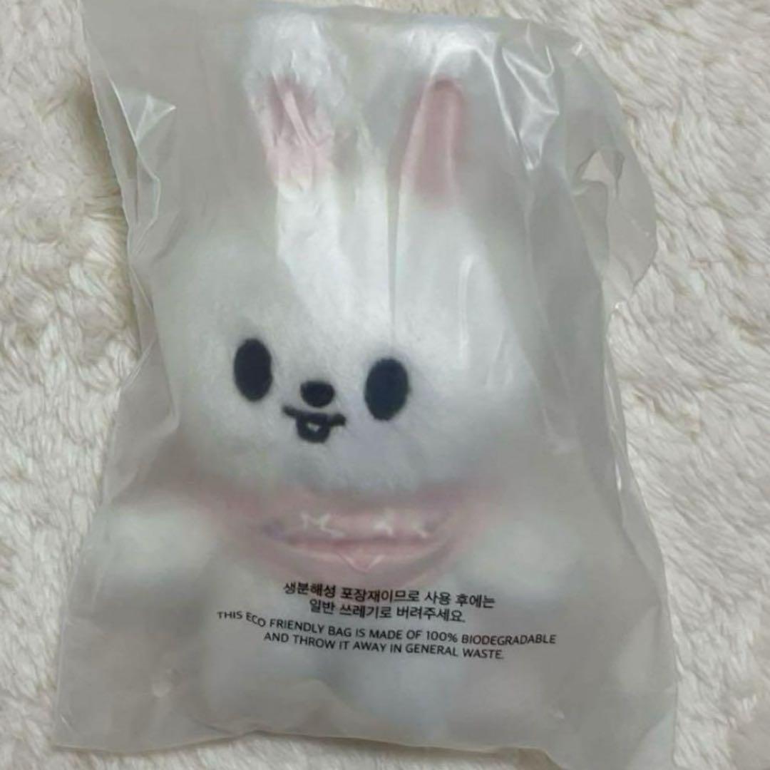 

[USED] straykids SKZOO 10CMPLUSH stuffed animal Reno Leavitt