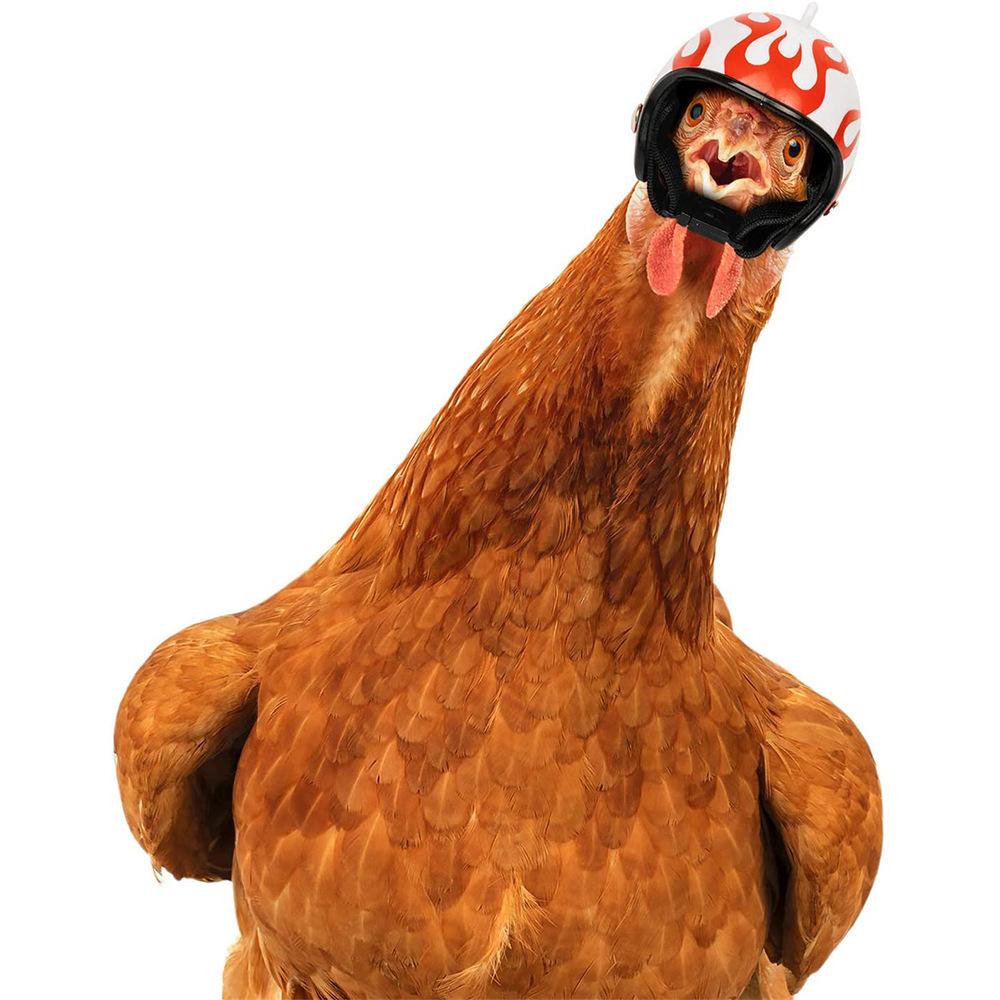 1Pc Protective Chicken Helmet for Chicks and Hens, Bird Hat, Head Cover, Pet Supplies, Holiday Gift