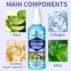Instant Cooling Spray Refreshing Summer Heat Relief Mist Ice Cold Skin Cooling Agent for Outdoor Sports