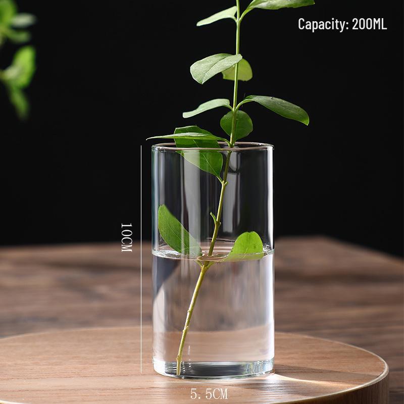 High Borosilicate Glass Hydroponic Vase & Desktop Planter - Straight Tube Design for Artistic Arrangements and Moss Ecosystem
