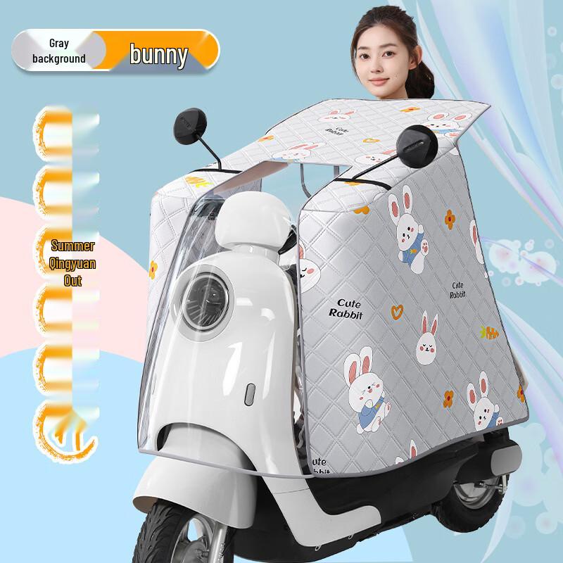 SPACEXPERT Electric Bike Windproof Cover