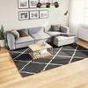 VidaXL Shaggy Rug with Long Pile, Floor Carpet, Area Rug, Living Room Rug, Modern, Black and Cream 375415