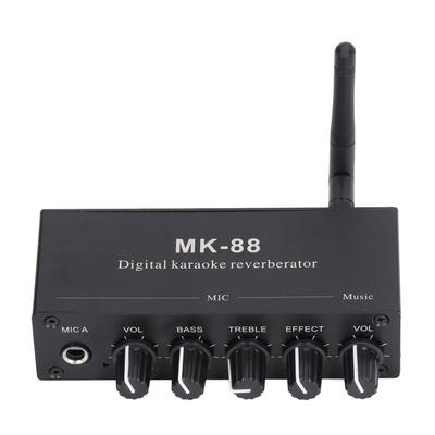 Digital Reverberator Stereo Amplifier Bluetooth 5.0 Dual Microphone Input DC 12V